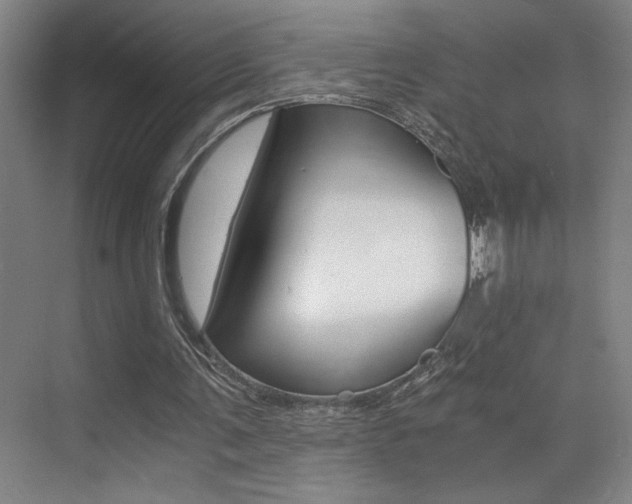 X0000073840291200608101034