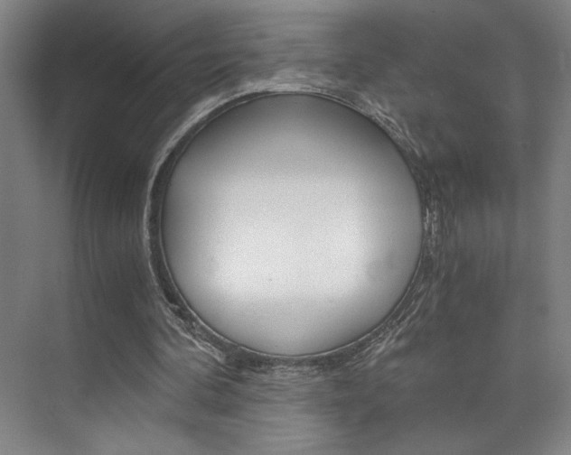 X0000073840292200608101034