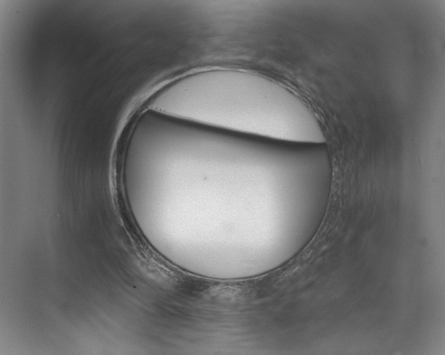 X0000073840294200608101034