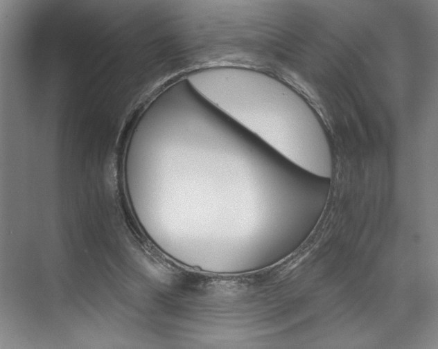 X0000073840298200608101034