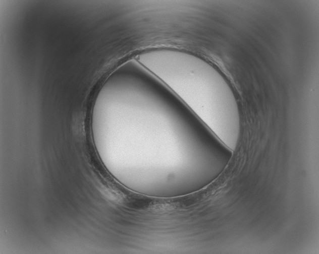 X0000073840299200608101034