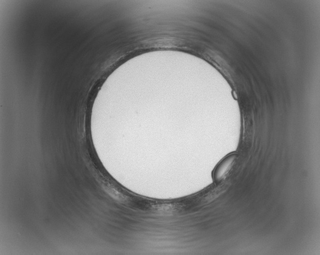 X0000073840301200608101034