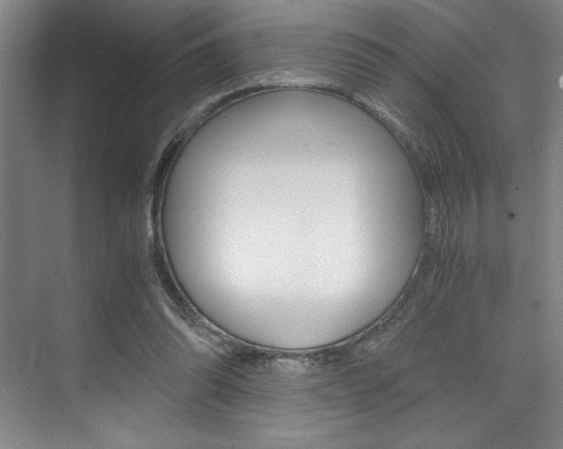 X0000073840302200608101034