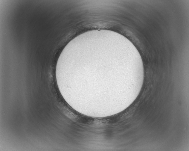 X0000073840305200608101034