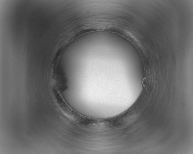 X0000073840307200608101034