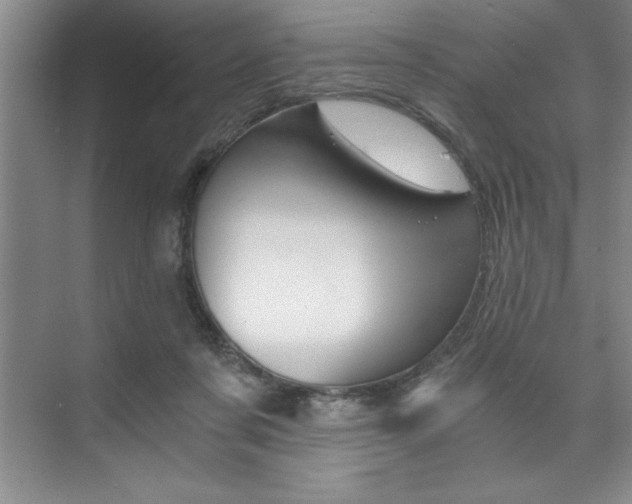 X0000073840311200608101034
