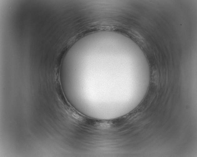 X0000073840318200608101034
