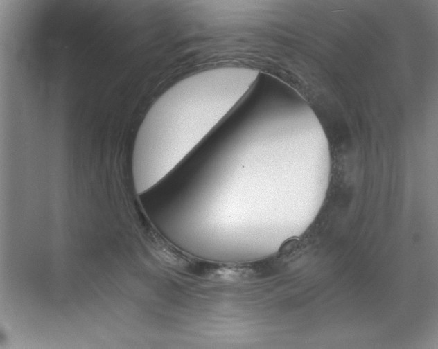 X0000073840323200608101034