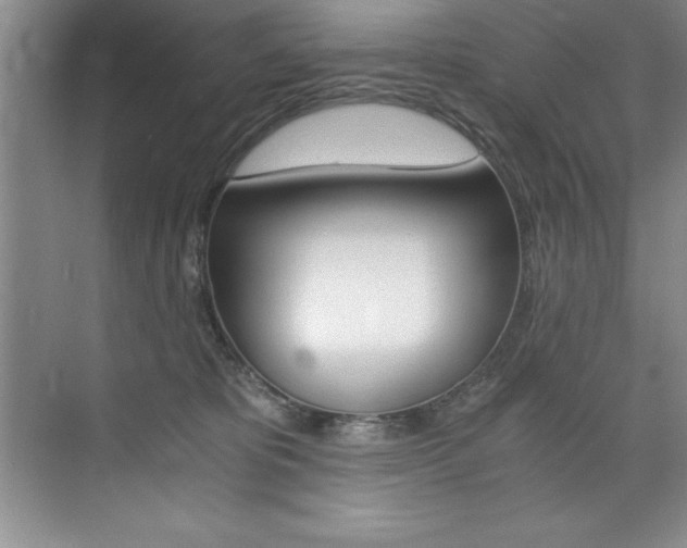 X0000073840325200608101034