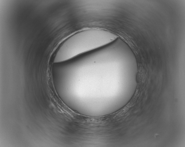 X0000073840338200608101033