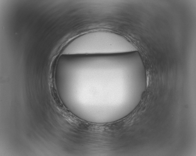 X0000073840339200608101033