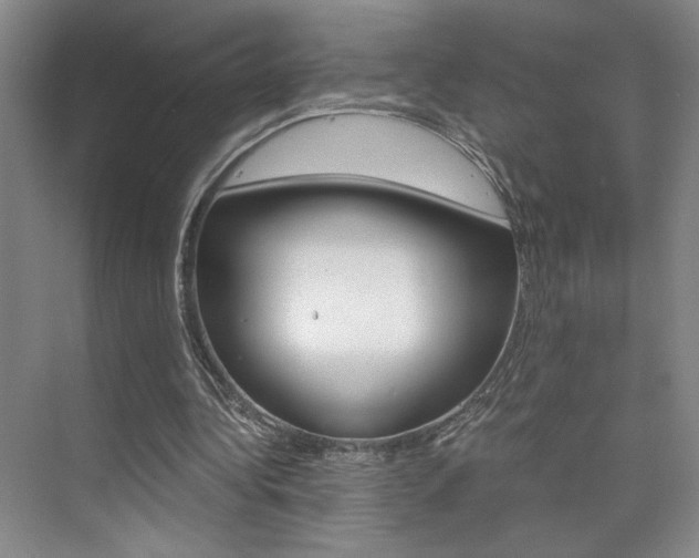 X0000073840340200608101033