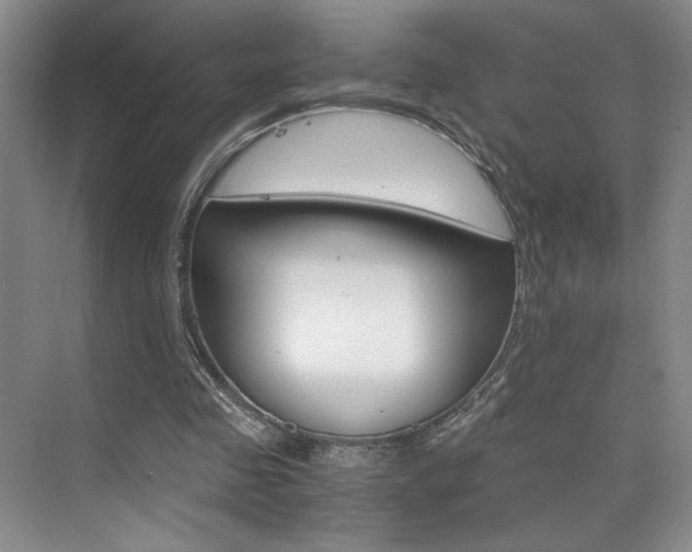 X0000073840341200608101033