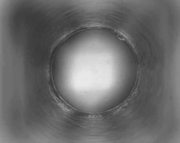 X0000073840345200608101033