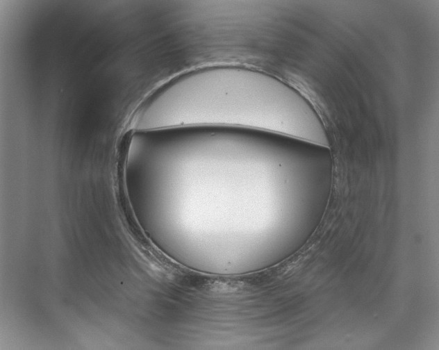 X0000073840346200608101033