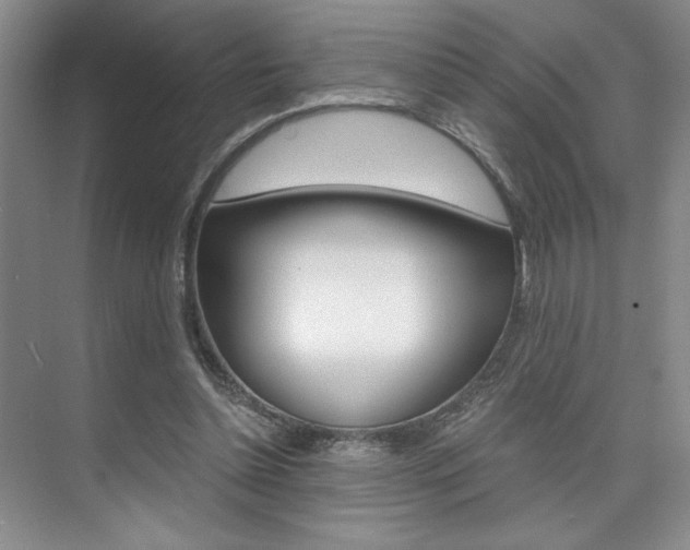 X0000073840348200608101033