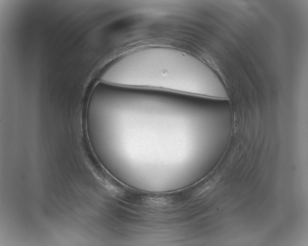 X0000073840349200608101033