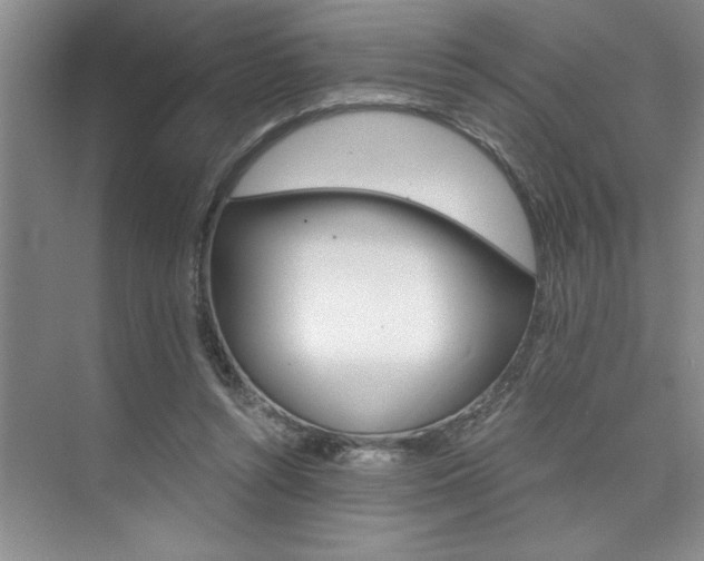 X0000073840352200608101033