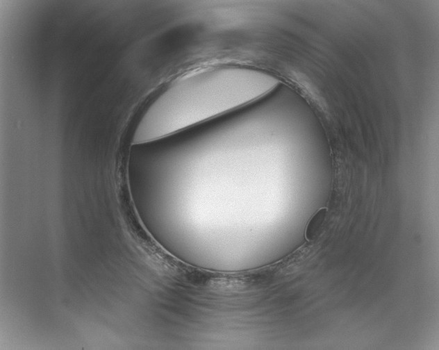 X0000073840354200608101033