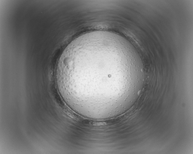 X0000073840355200608101033