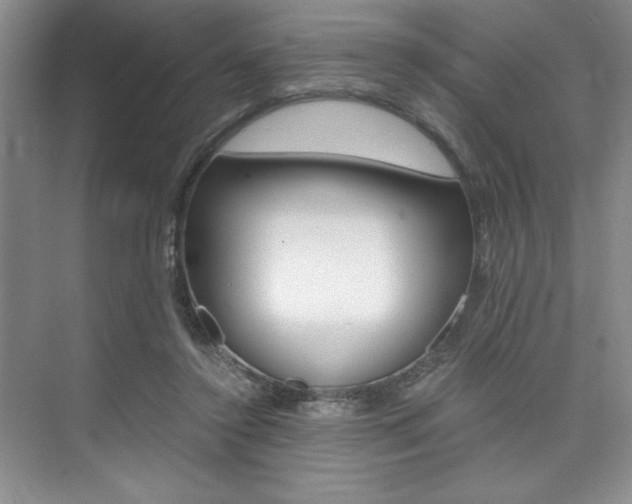 X0000073840356200608101033