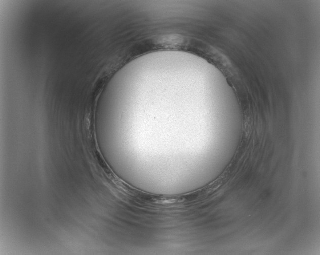 X0000073840365200608101033