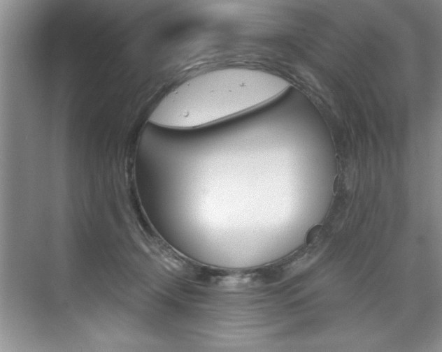 X0000073840366200608101033