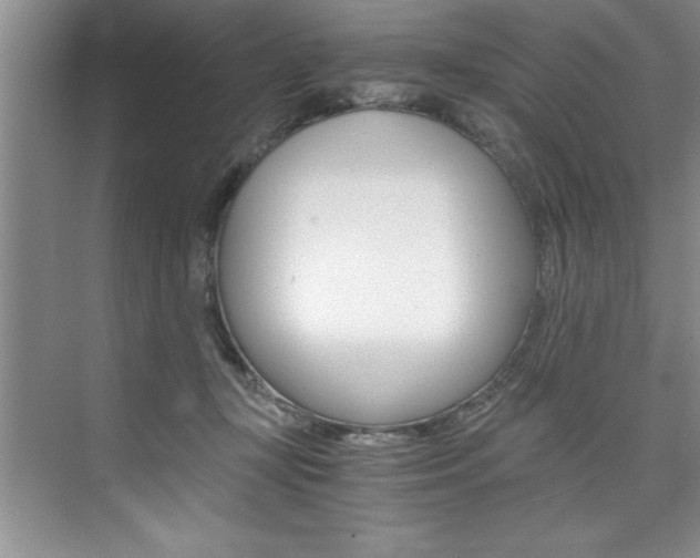 X0000073840367200608101033