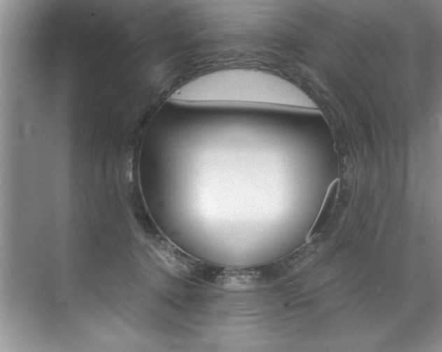 X0000073840368200608101033