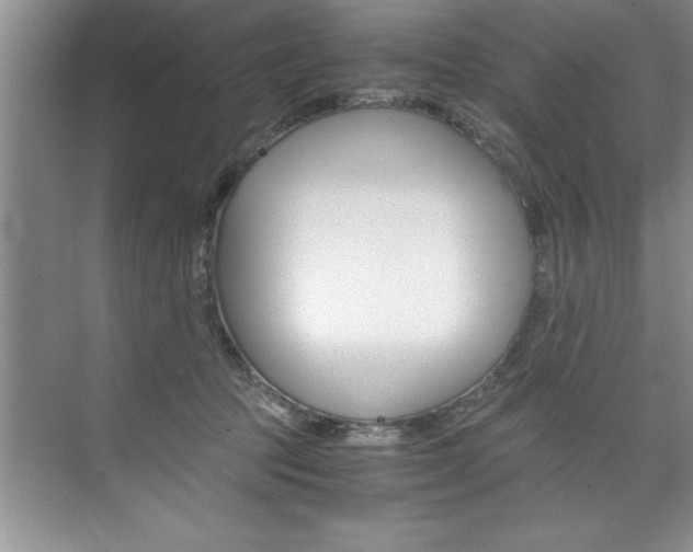 X0000073840369200608101033