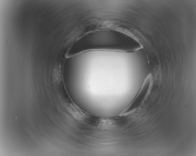 X0000073840376200608101033