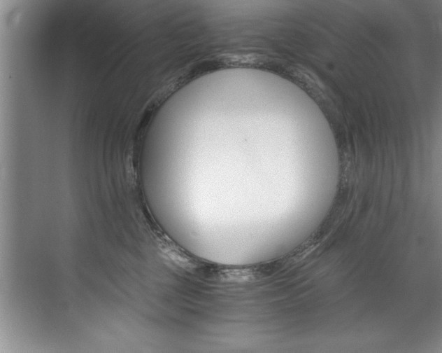 X0000073840377200608101033