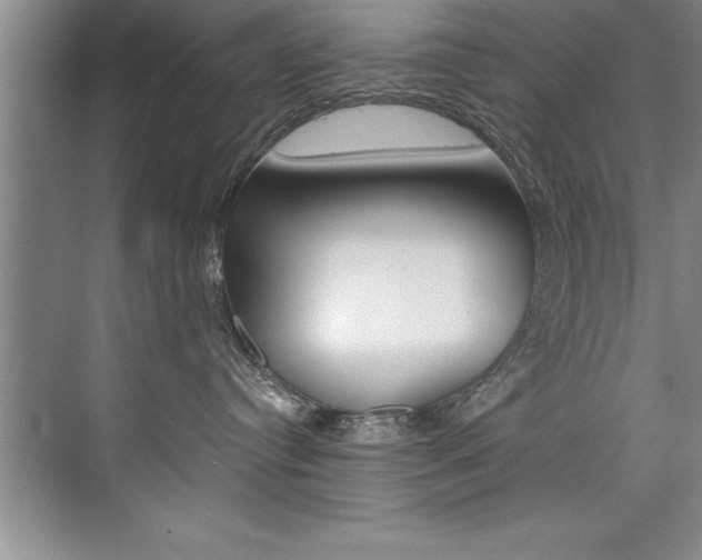 X0000073840384200608101034