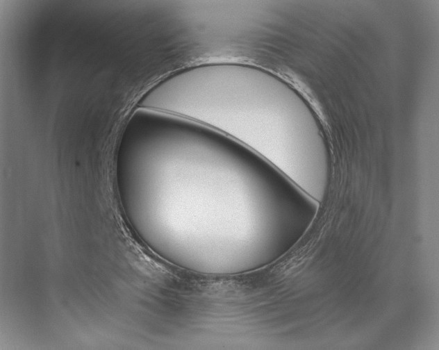 X0000073840385200608101033