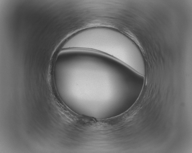 X0000073840387200608101033
