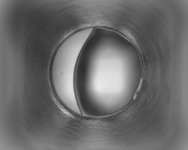 X0000073840389200608101033