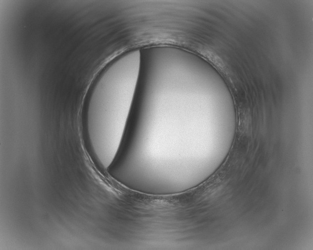 X0000073840390200608101033