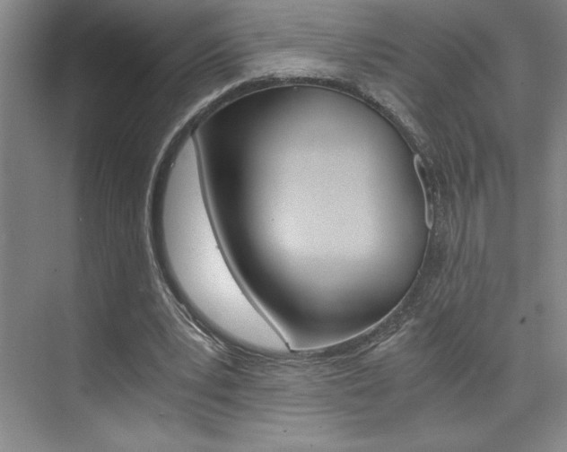 X0000073840391200608101033