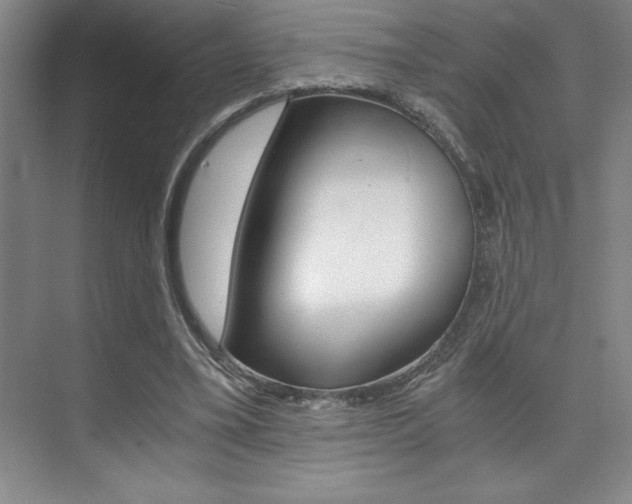 X0000073840395200608101033
