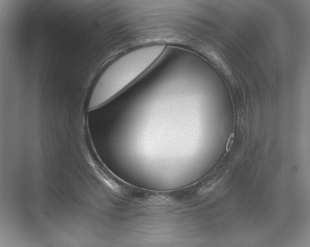 X0000073840397200608101033