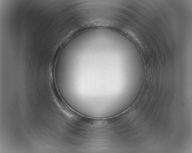 X0000073840398200608101033