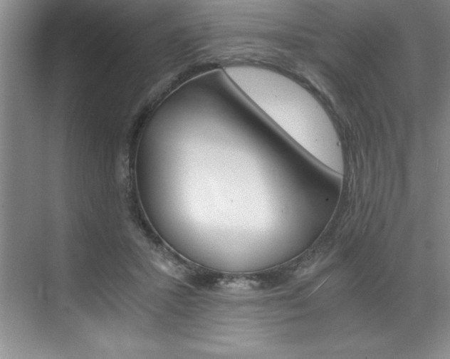 X0000073840407200608101032