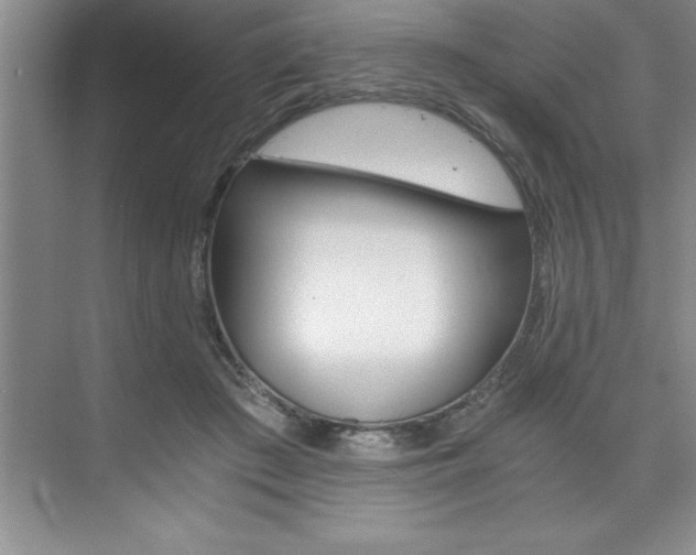 X0000073840409200608101032