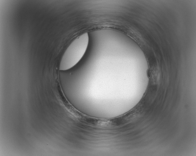 X0000073840410200608101032