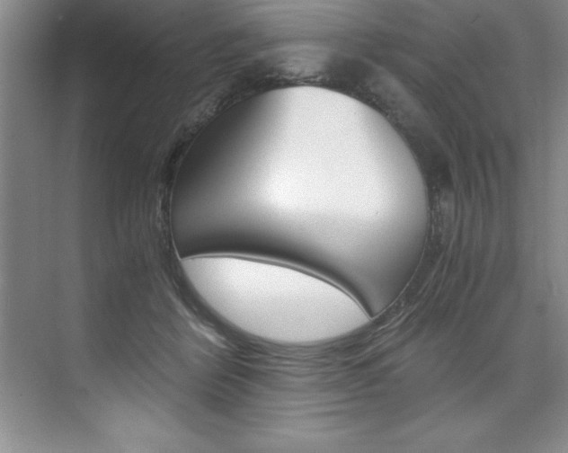 X0000073840412200608101032
