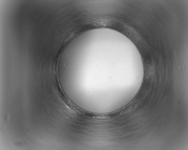X0000073840414200608101032