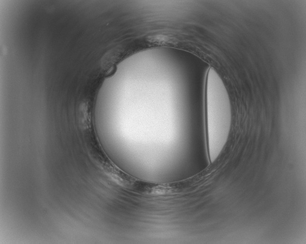 X0000073840420200608101032