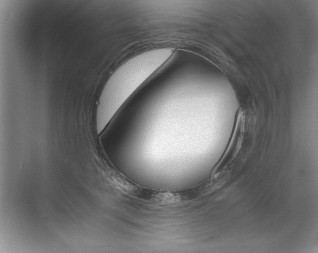 X0000073840421200608101032