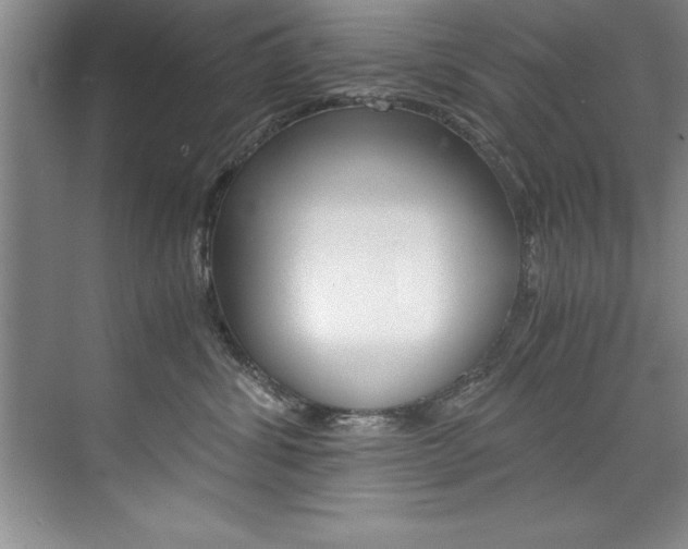 X0000073840428200608101032
