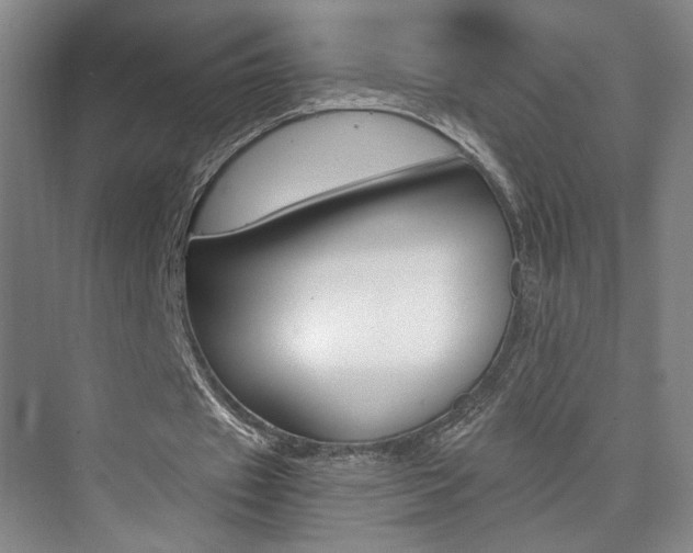 X0000073840433200608101031